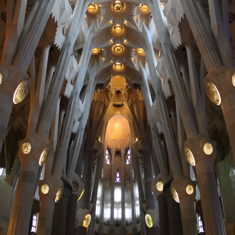 Interior of the Sagrada Família with tree-like columns branching into a lit vaulted ceiling