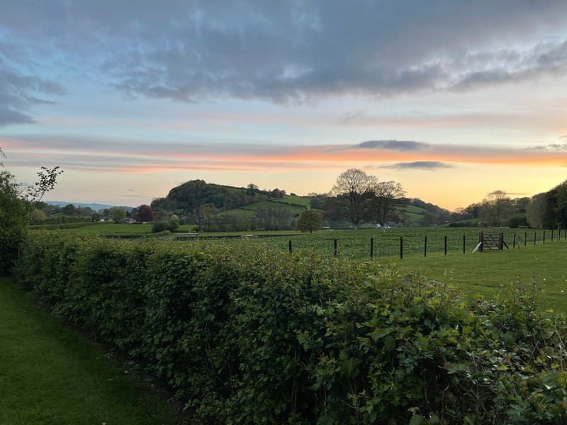 Green hedgerow and rolling countryside under a cloudy sunset sky